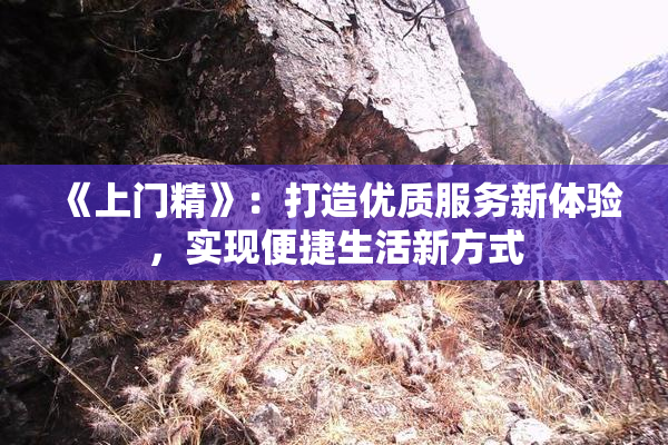 《上门精》：打造优质服务新体验，实现便捷生活新方式
