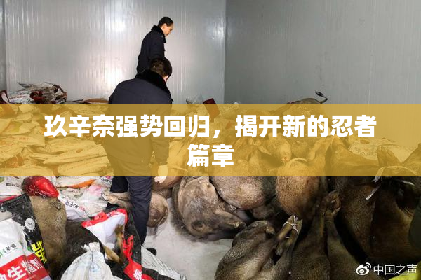 玖辛奈强势回归，揭开新的忍者篇章