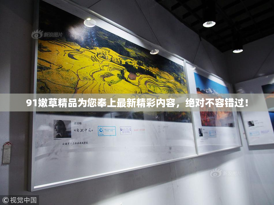 91嫩草精品为您奉上最新精彩内容，绝对不容错过！