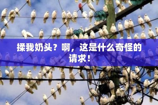 揉我奶头？啊，这是什么奇怪的请求！