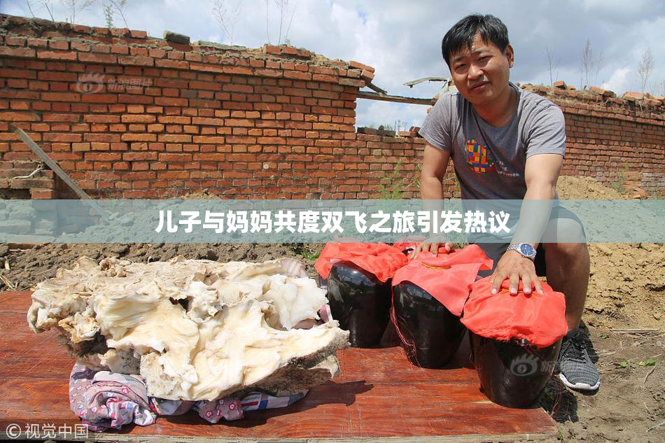 儿子与妈妈共度双飞之旅引发热议