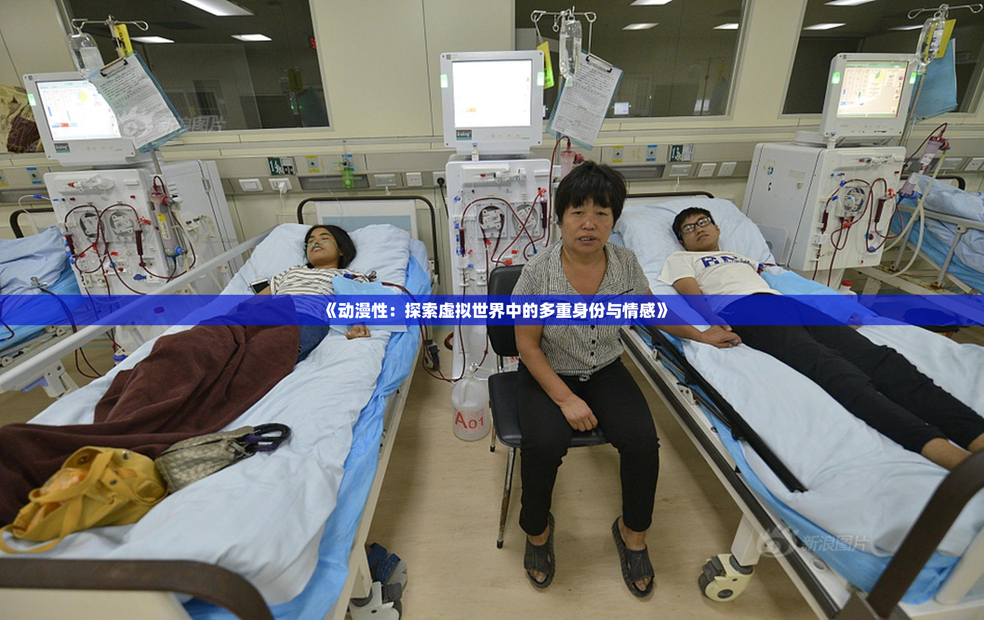 《动漫性：探索虚拟世界中的多重身份与情感》