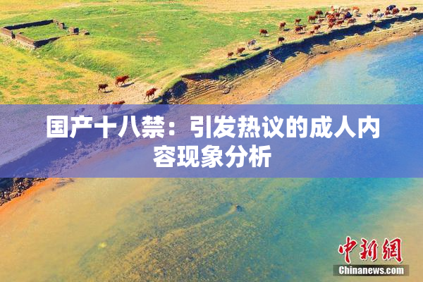 国产十八禁：引发热议的成人内容现象分析