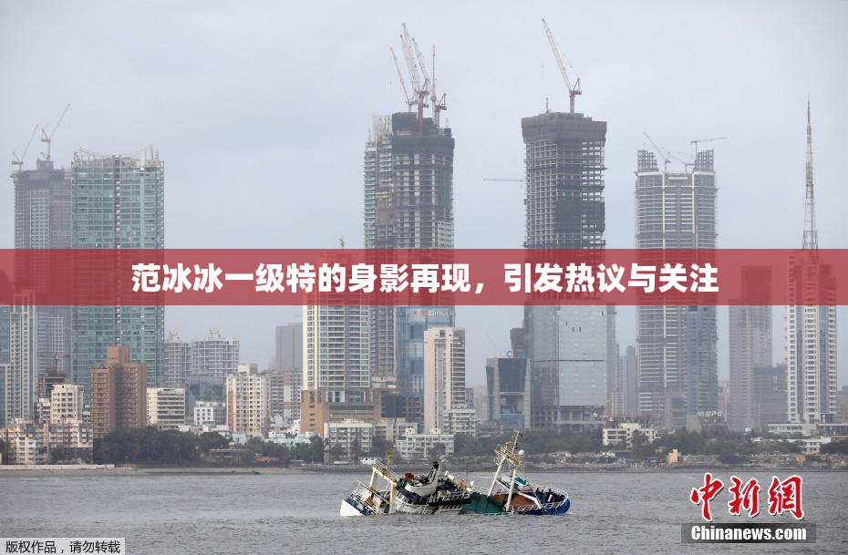 范冰冰一级特的身影再现，引发热议与关注