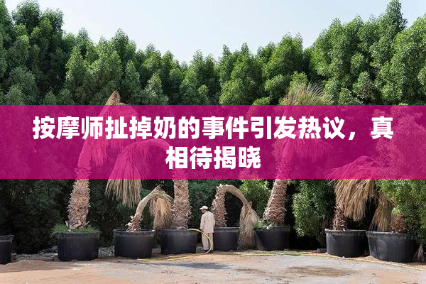 按摩师扯掉奶的事件引发热议，真相待揭晓