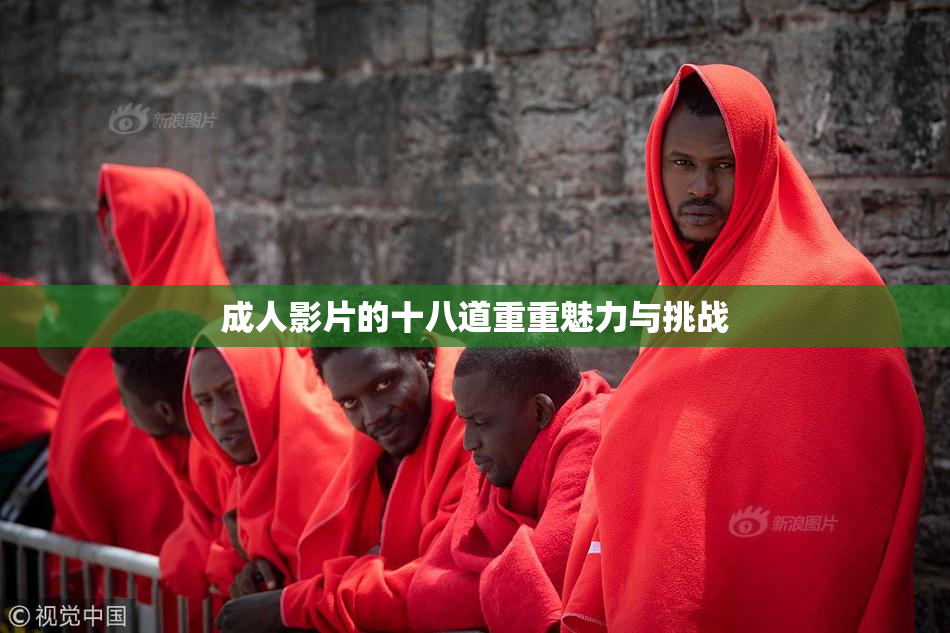 成人影片的十八道重重魅力与挑战