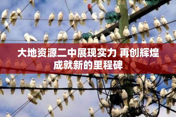 大地资源二中展现实力 再创辉煌成就新的里程碑