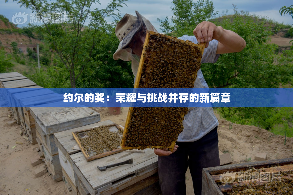 约尔的奖：荣耀与挑战并存的新篇章