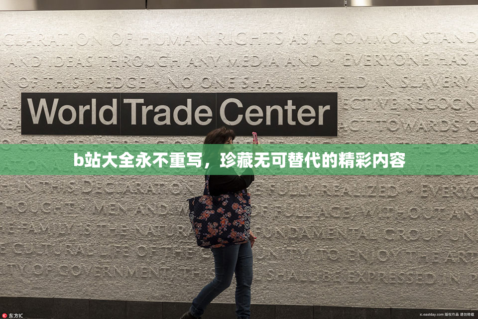 b站大全永不重写，珍藏无可替代的精彩内容