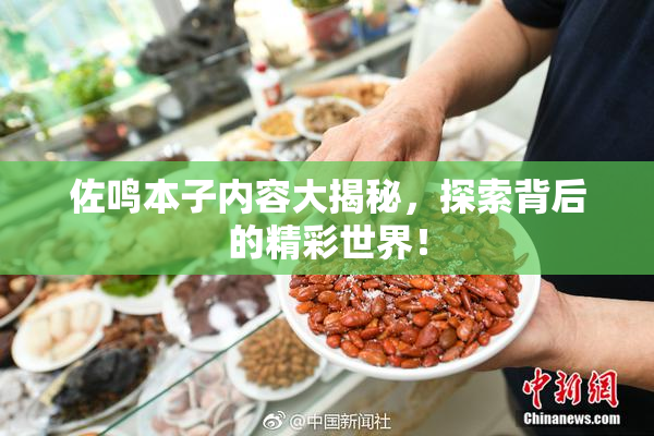 佐鸣本子内容大揭秘，探索背后的精彩世界！