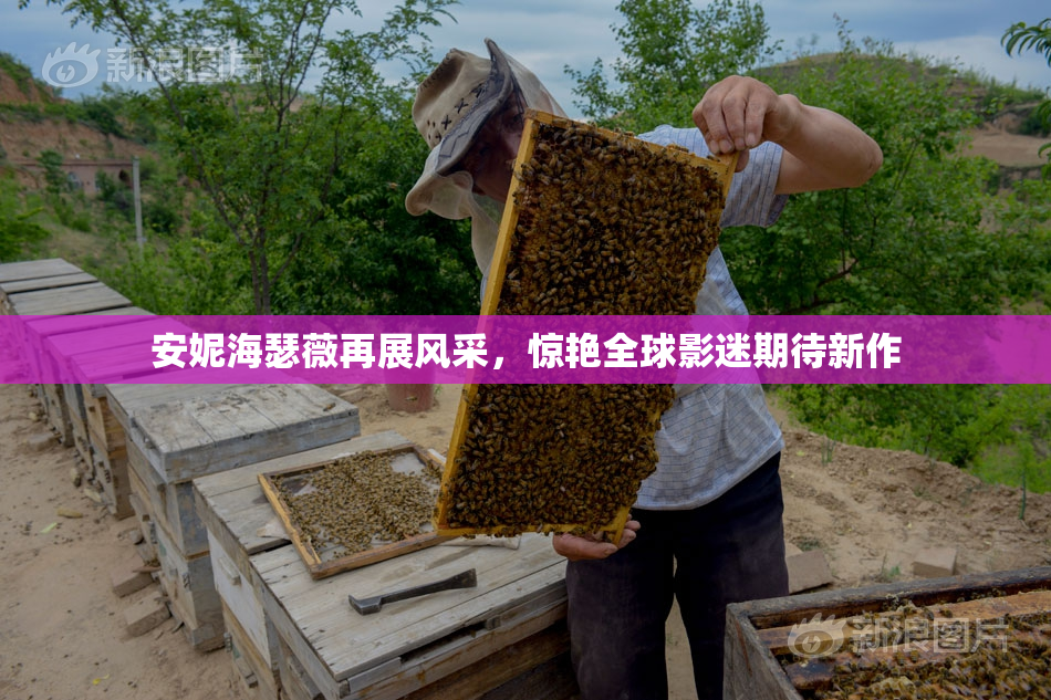 安妮海瑟薇再展风采，惊艳全球影迷期待新作