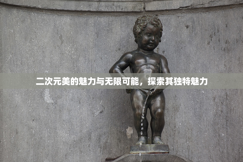 二次元美的魅力与无限可能，探索其独特魅力