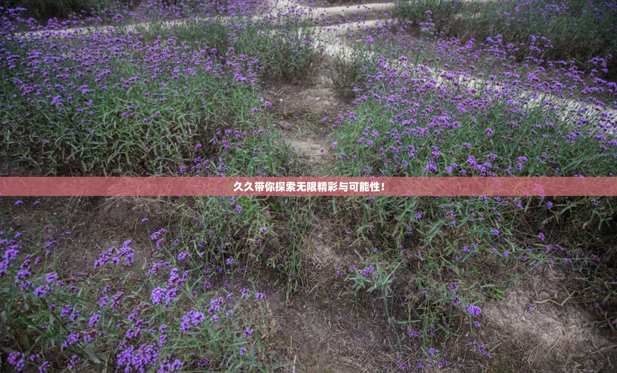 久久带你探索无限精彩与可能性！