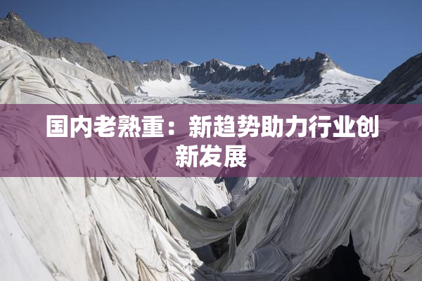 国内老熟重：新趋势助力行业创新发展