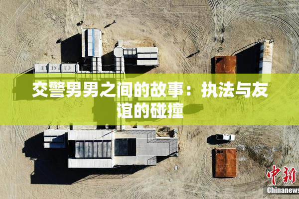 交警男男之间的故事：执法与友谊的碰撞