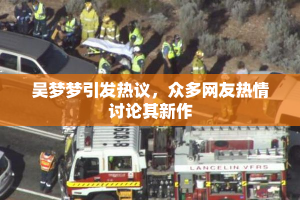吴梦梦引发热议，众多网友热情讨论其新作
