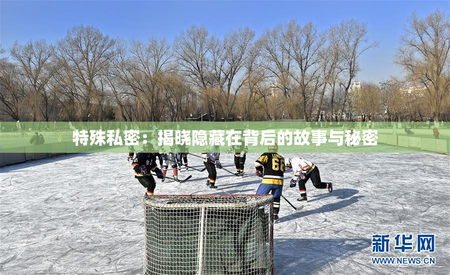 特殊私密：揭晓隐藏在背后的故事与秘密