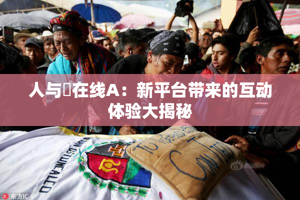 人与嘼在线A：新平台带来的互动体验大揭秘