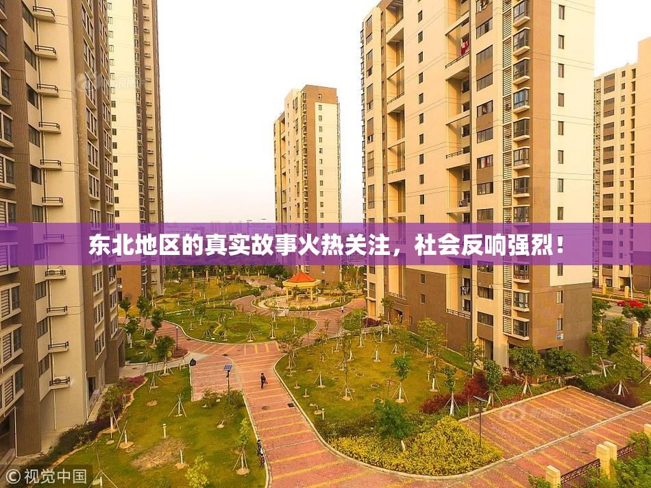 东北地区的真实故事火热关注，社会反响强烈！