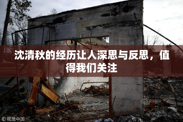 沈清秋的经历让人深思与反思，值得我们关注