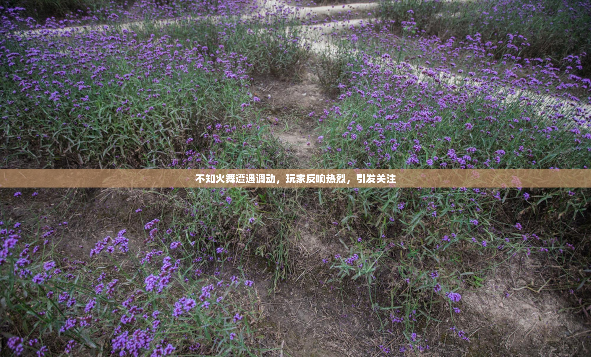 不知火舞遭遇调动，玩家反响热烈，引发关注
