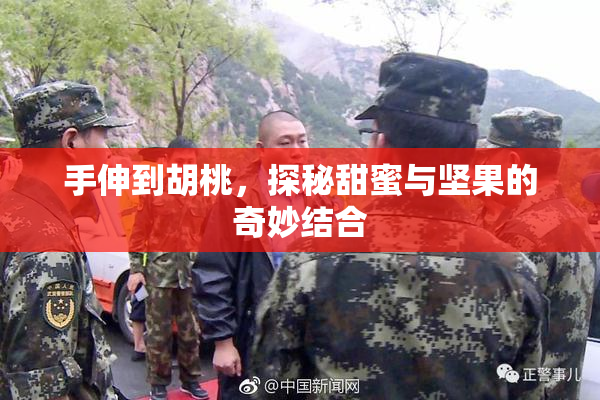 手伸到胡桃，探秘甜蜜与坚果的奇妙结合