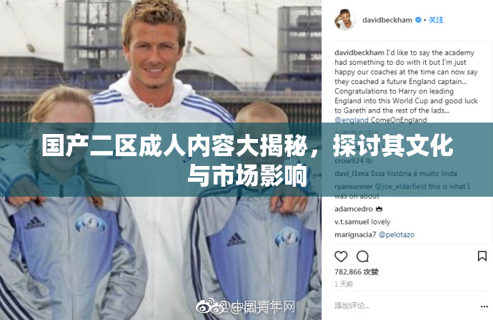 国产二区成人内容大揭秘，探讨其文化与市场影响