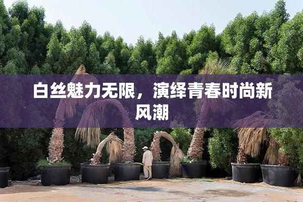 白丝魅力无限，演绎青春时尚新风潮