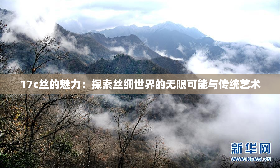 17c丝的魅力：探索丝绸世界的无限可能与传统艺术