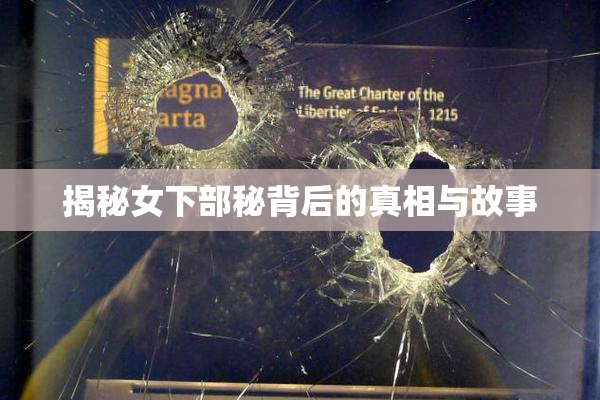 揭秘女下部秘背后的真相与故事