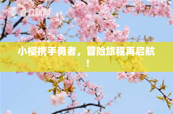 小樱携手勇者，冒险旅程再启航！