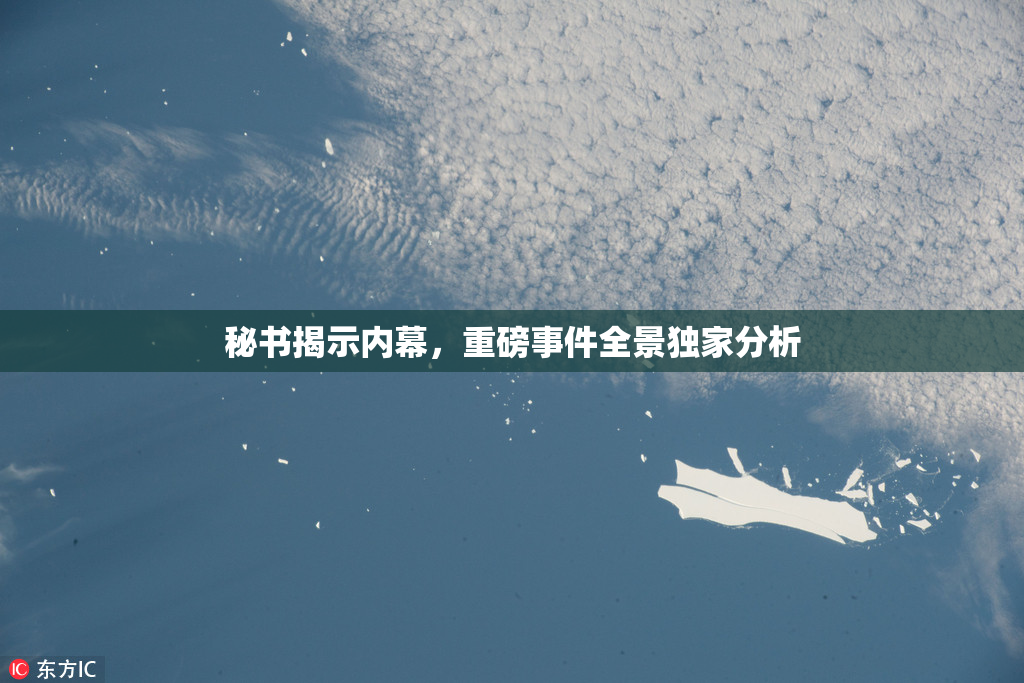 秘书揭示内幕，重磅事件全景独家分析