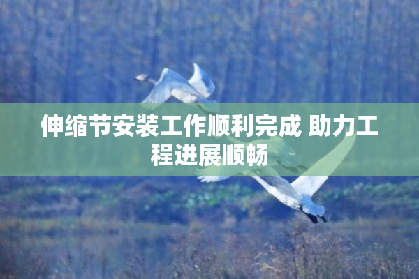 伸缩节安装工作顺利完成 助力工程进展顺畅