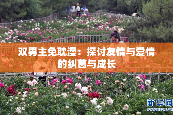 双男主免耽漫：探讨友情与爱情的纠葛与成长