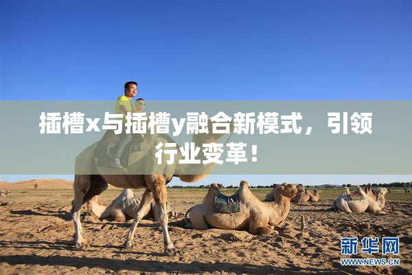 插槽x与插槽y融合新模式，引领行业变革！