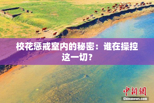 校花惩戒室内的秘密：谁在操控这一切？