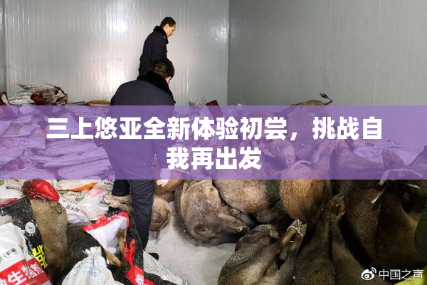 三上悠亚全新体验初尝，挑战自我再出发