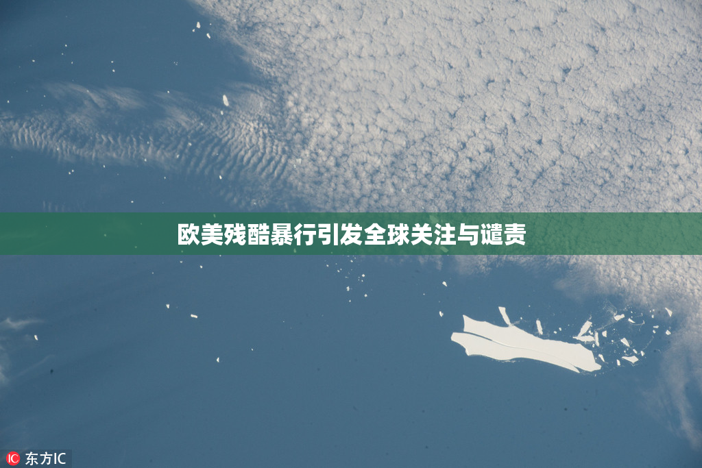 欧美残酷暴行引发全球关注与谴责