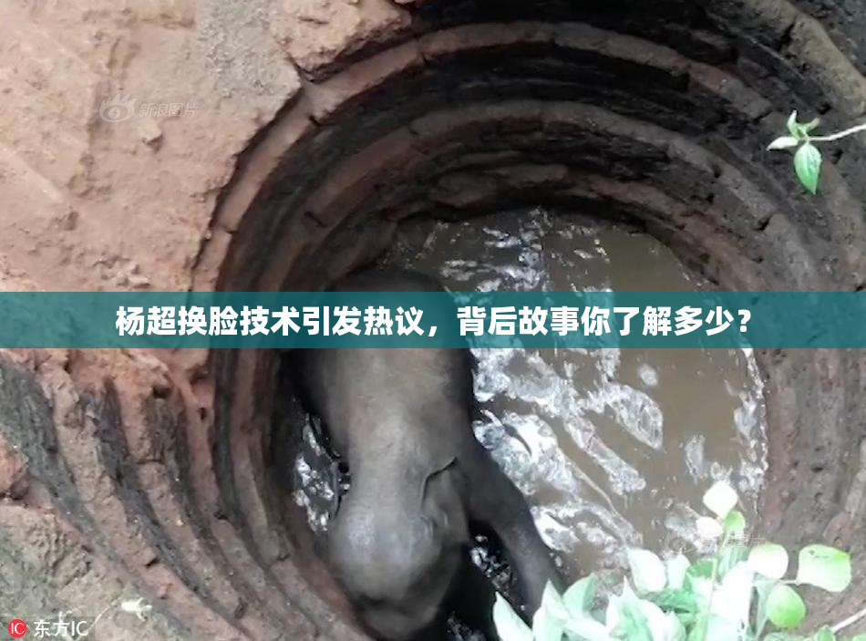 杨超换脸技术引发热议，背后故事你了解多少？