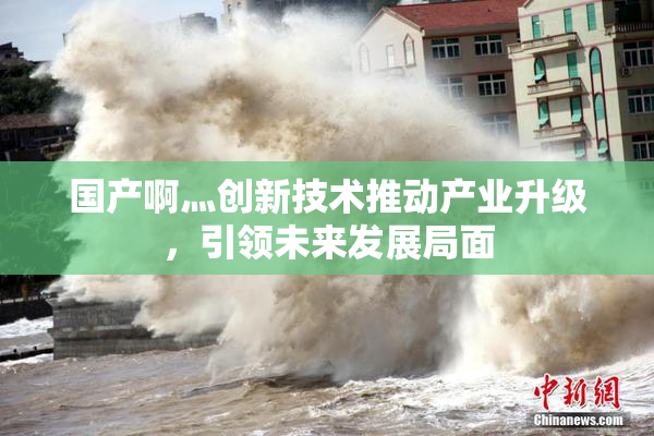 国产啊灬创新技术推动产业升级，引领未来发展局面