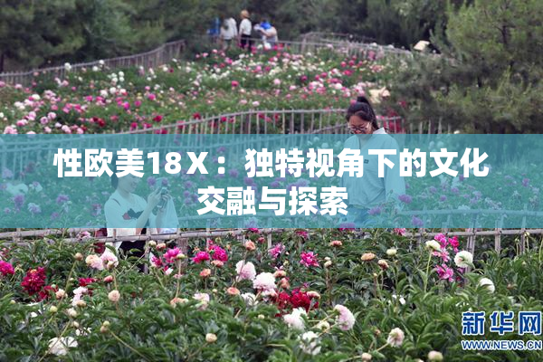 性欧美18Ⅹ：独特视角下的文化交融与探索