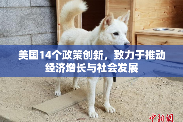 美国14个政策创新，致力于推动经济增长与社会发展