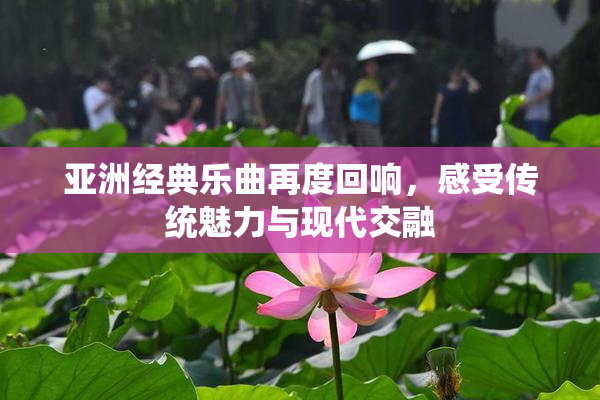 亚洲经典乐曲再度回响，感受传统魅力与现代交融
