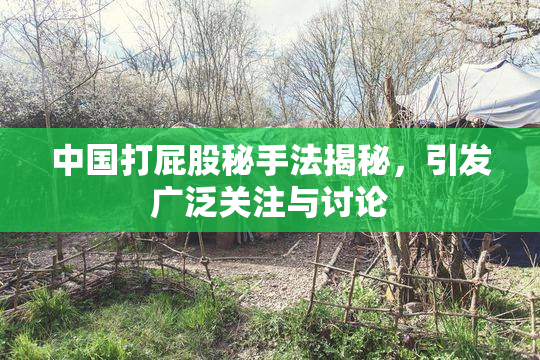 中国打屁股秘手法揭秘，引发广泛关注与讨论