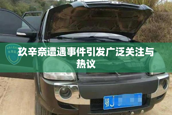 玖辛奈遭遇事件引发广泛关注与热议
