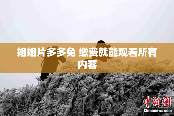姐姐片多多免 缴费就能观看所有内容