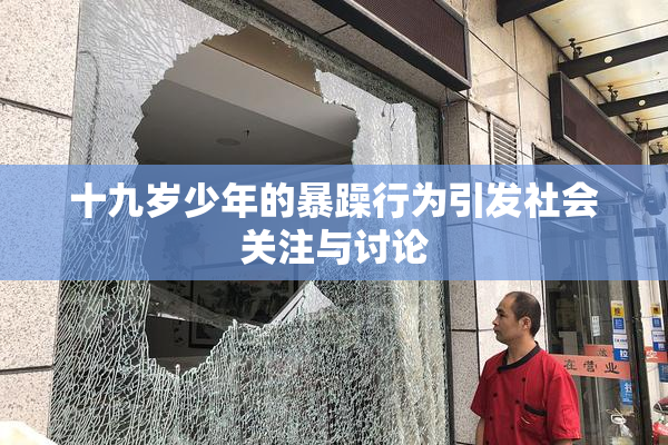 十九岁少年的暴躁行为引发社会关注与讨论
