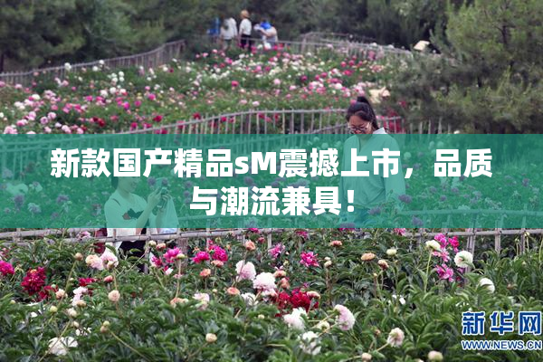 新款国产精品sM震撼上市，品质与潮流兼具！