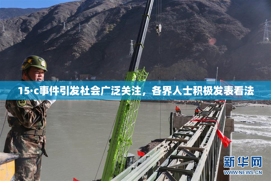 15·c事件引发社会广泛关注，各界人士积极发表看法