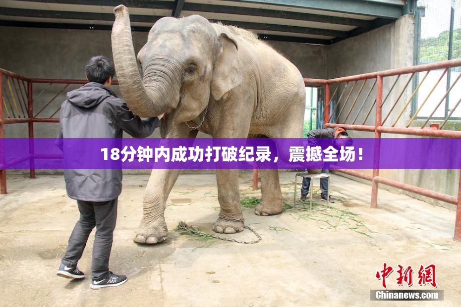 18分钟内成功打破纪录，震撼全场！